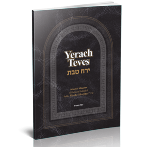 A collection of the Rav’s Shiurim on the Month of Teves